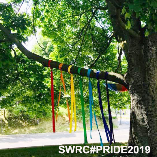 large tree with rainbow ribbons hanging from the branches