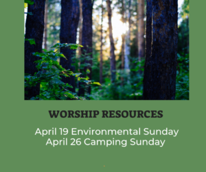 picture of trees and link to worship section