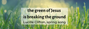 grass blades with qute The green of jesus is breaking the ground