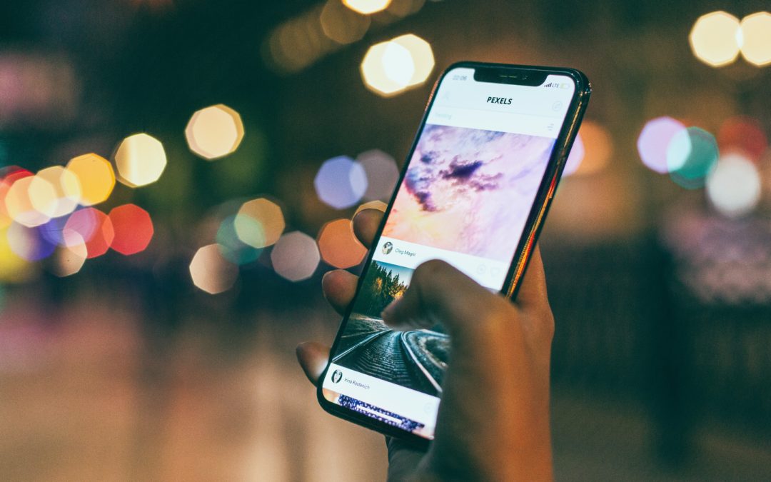 Sowing Seeds, sorry birds I misjudged you –introducing our new digital media and ministry blog