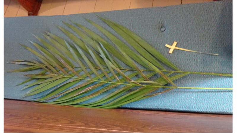 palm leaf and cross