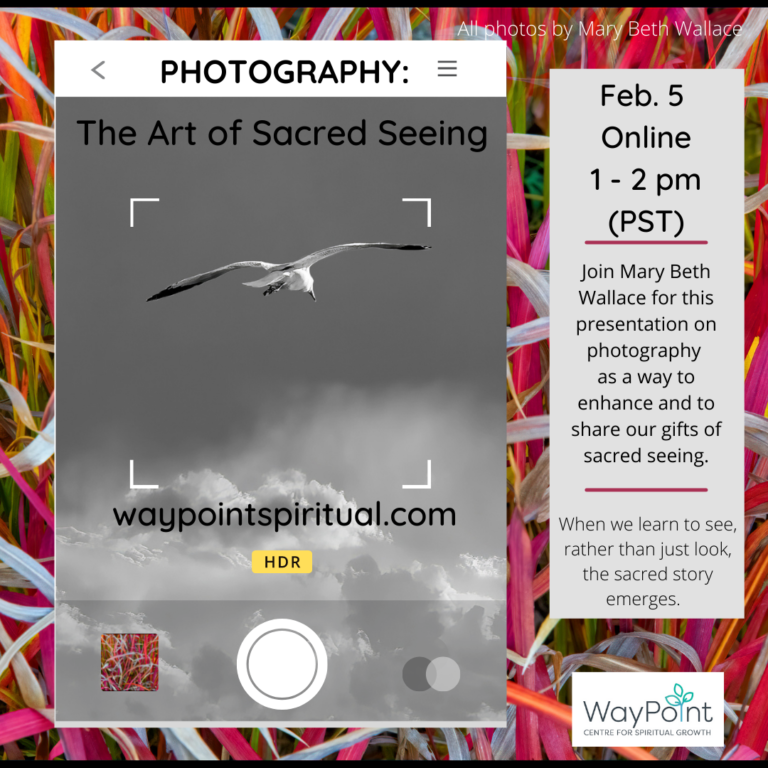 Photography – The Art of Sacred Seeing
