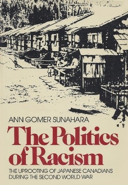 the politics of racism cover