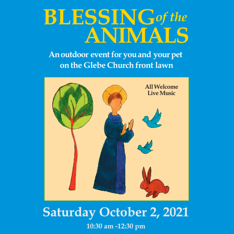 The Blessing of the animals