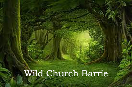 Wild Church Barrie
