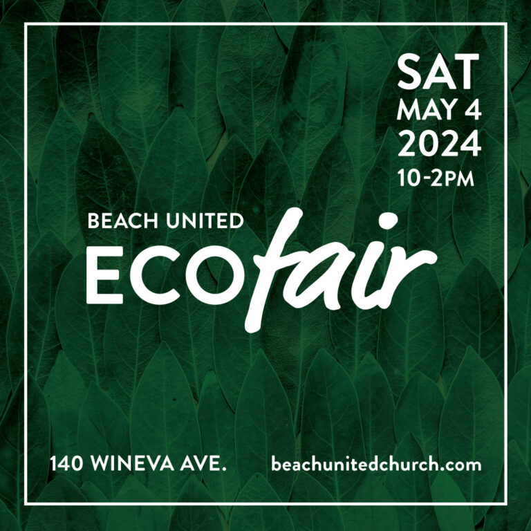 EcoFair at Beach United