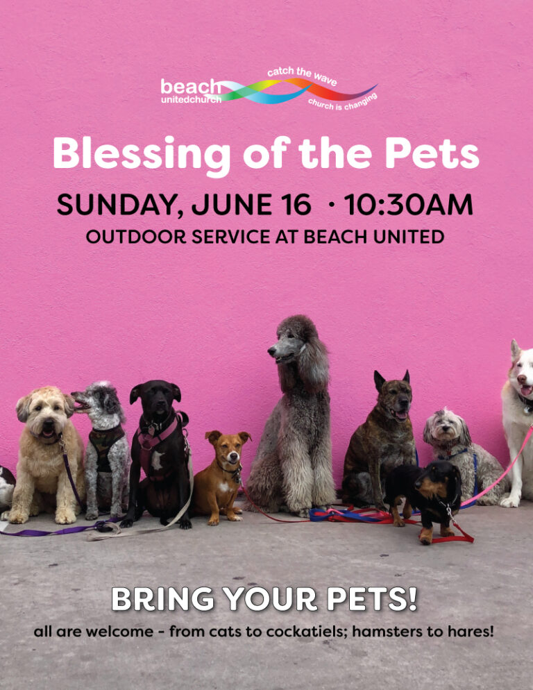 Blessing of the Pets Service