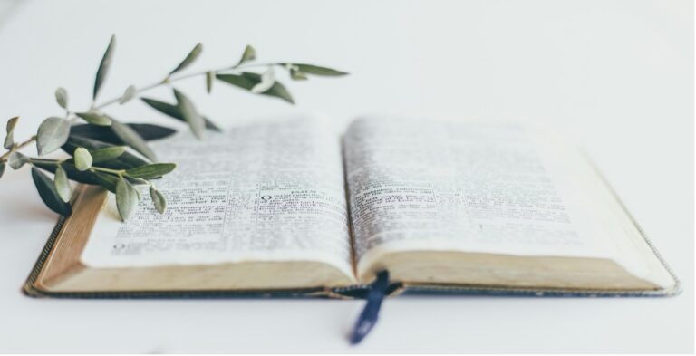 The Bible and the War on Gaza
